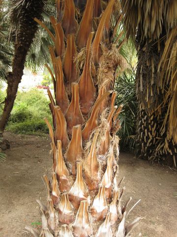 File:360px-IMG 4003 hunt0904.jpg