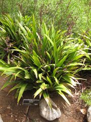 File:180px-IMG 7304 hunt09jun.jpg