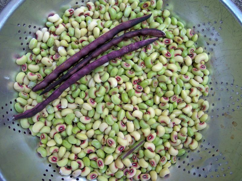 File:800px-Quick pick 3.jpg