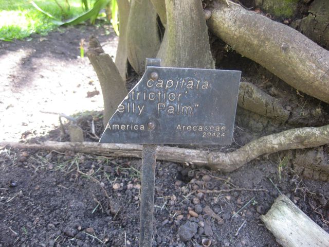 File:640px-IMG 2103 hunt0903.jpg