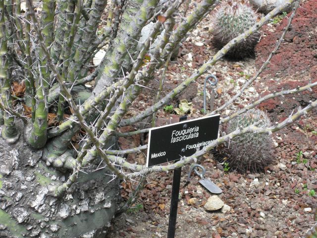 File:640px-IMG 4365 hunt0904.jpg