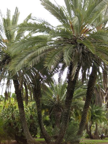 File:360px-IMG 4093 hunt0904.jpg