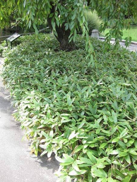 File:450px-IMG 0648 bbg09.jpg