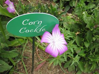 File:320px-IMG 5188 hunt0904.jpg