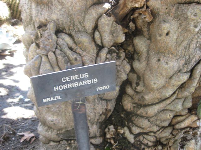 File:640px-IMG 2180 hunt0903.jpg