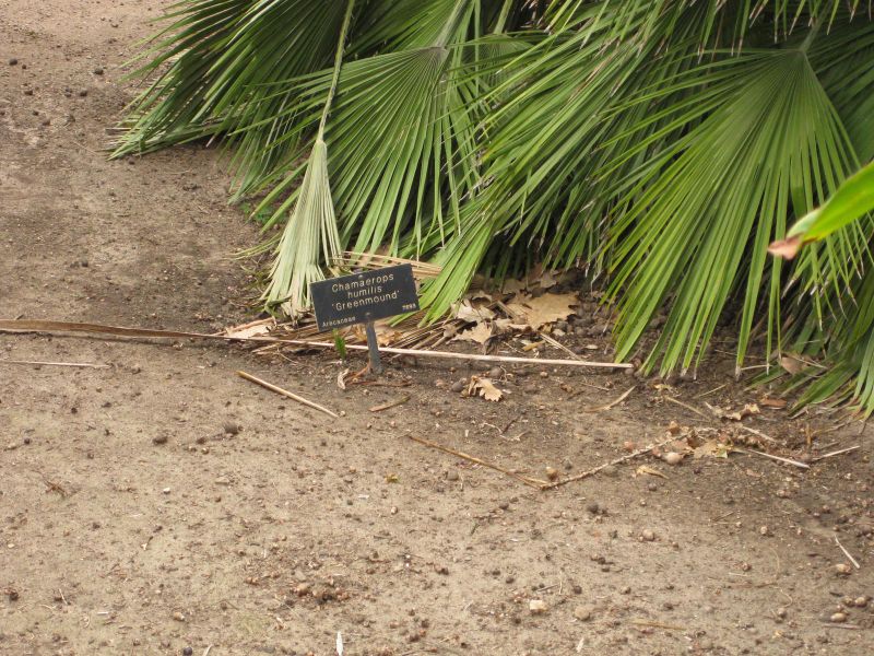 File:800px-IMG 3946 hunt0904.jpg