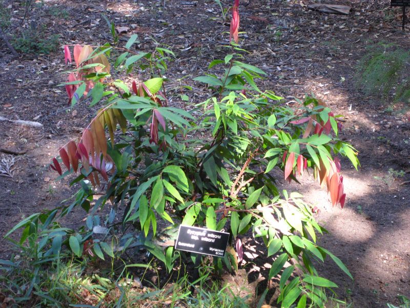 File:800px-IMG 2087 hunt09oct.jpg