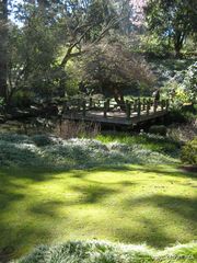 File:180px-Japanese garden-IMG 8071 sfbg0308.jpg