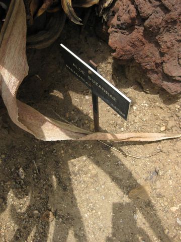 File:360px-IMG 7486 hunt09jun.jpg