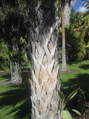 File:180px-IMG 2109 hunt0903.jpg