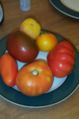 File:79px-Heirloom tomatoes.jpg