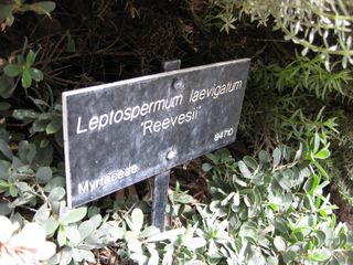 File:320px-IMG 4525 hunt0904.jpg