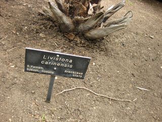 File:320px-IMG 4065 hunt0904.jpg