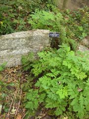 File:180px-IMG 1432 bbg09.jpg