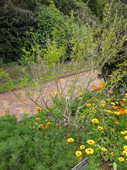 File:180px-IMG 5253 hunt0904.jpg