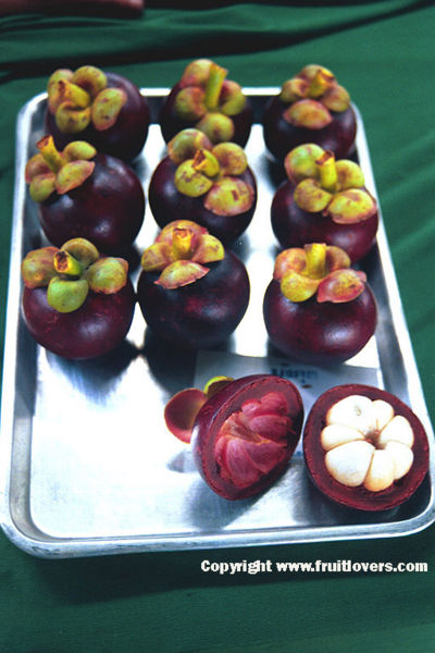 File:400px-Mangosteen-fruitlovers.jpg