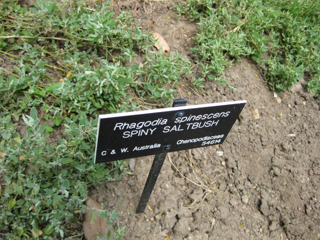 File:640px-IMG 4543 hunt0904.jpg