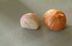 File:240px-Shallots - sliced and whole.jpg