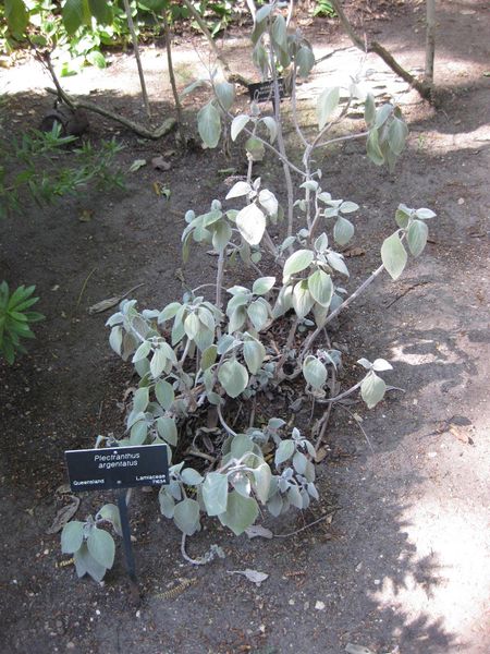 File:450px-IMG 2015 hunt09oct.jpg