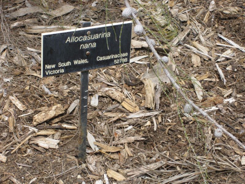 File:800px-IMG 4706 hunt0904.jpg