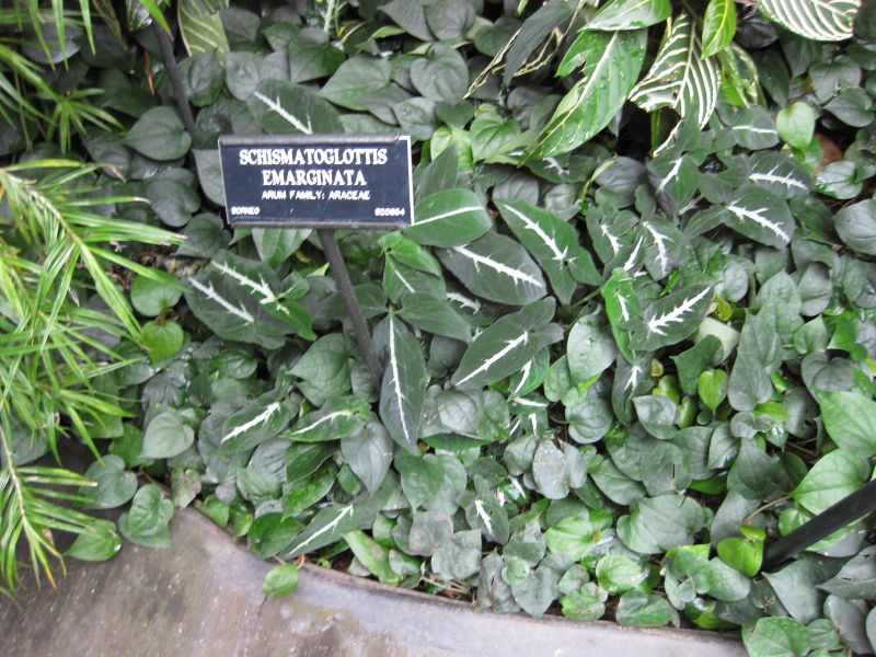 File:800px-IMG 1150 bbg09.jpg