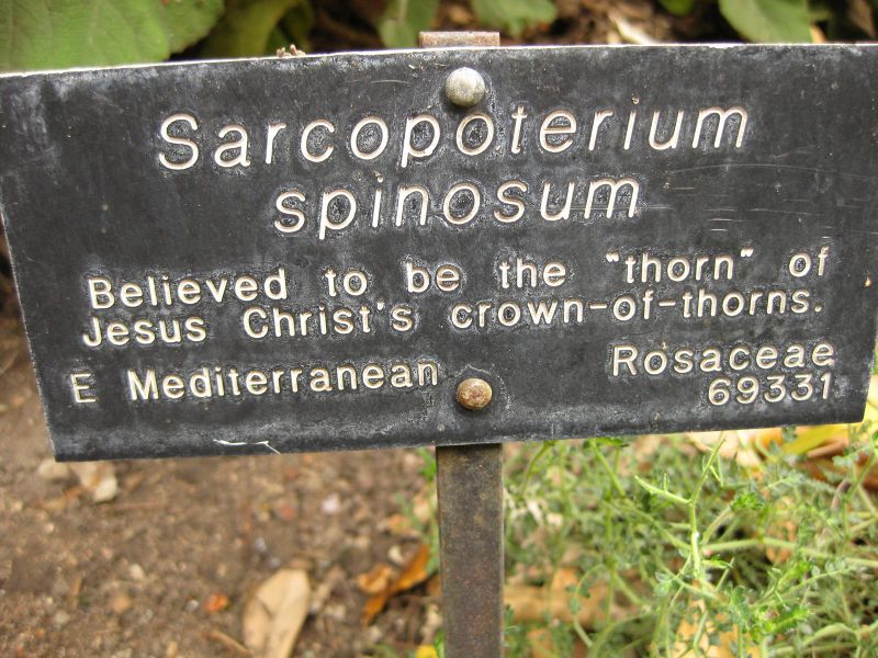 File:800px-IMG 6940 hunt09jun.jpg