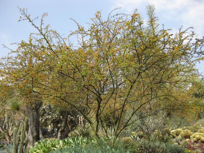 File:800px-IMG 4381 hunt0904.jpg