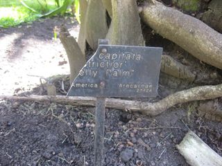 File:320px-IMG 2103 hunt0903.jpg