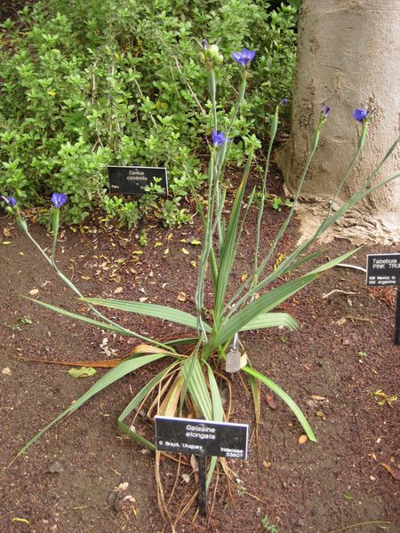 File:450px-IMG 7058 hunt09jun.jpg