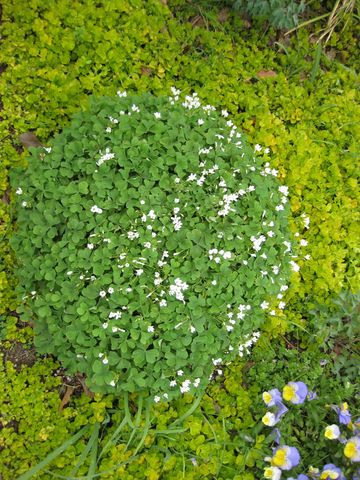 File:360px-IMG 5194 hunt0904.jpg