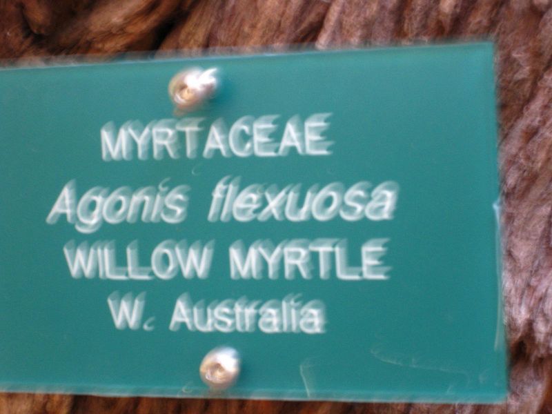 File:800px-IMG 2651 ucla09.jpg