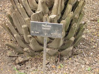 File:320px-IMG 4097 hunt0904.jpg