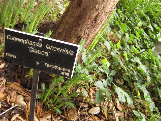 File:640px-IMG 7250 hunt09jun.jpg