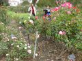 Thumbnail for version as of 09:44, 29 April 2025