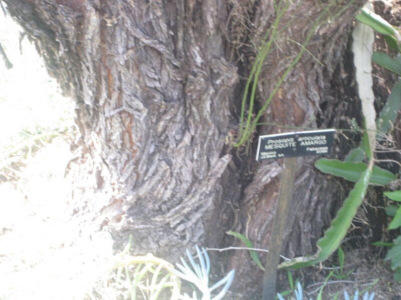 File:1280px-IMG 2351 hunt0903.jpg