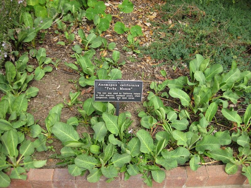 File:1280px-IMG 5230 hunt0904.jpg