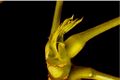 Thumbnail for version as of 10:10, 29 April 2025