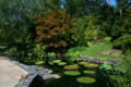 Thumbnail for version as of 04:07, 16 May 2009