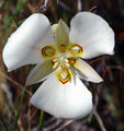 Thumbnail for version as of 10:10, 12 May 2007