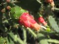 Thumbnail for version as of 09:19, 29 April 2025