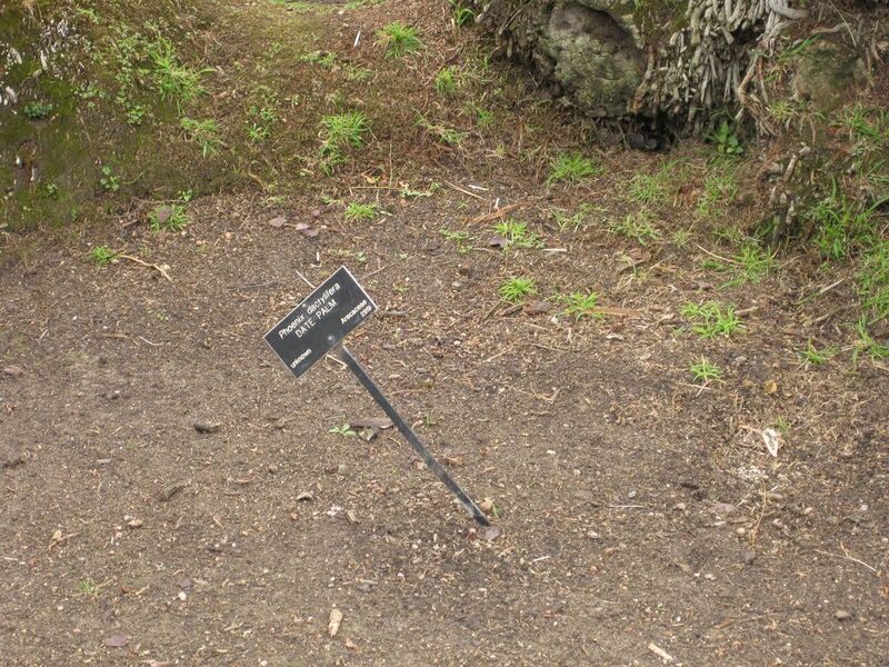 File:1024px-IMG 4095 hunt0904.jpg