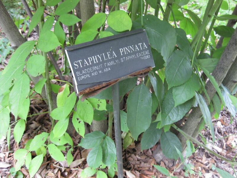 File:1280px-IMG 1338 bbg09.jpg