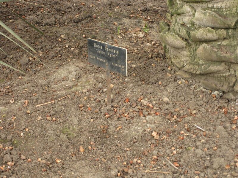 File:1280px-IMG 3885 hunt0904.jpg