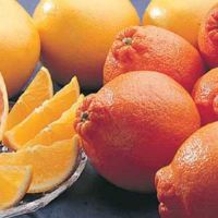 A tangelo fruit (Cushman Honeybells)