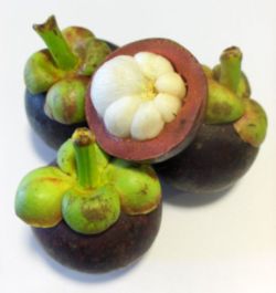 Mangosteen fruit