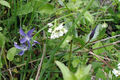 Thumbnail for version as of 17:30, 7 March 2008