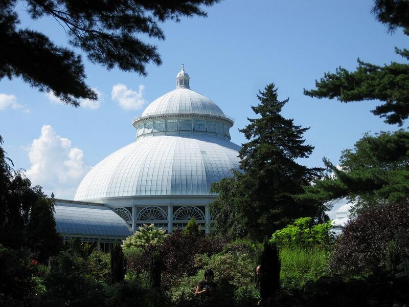 File:1024px-IMG 0359 nybg09.jpg