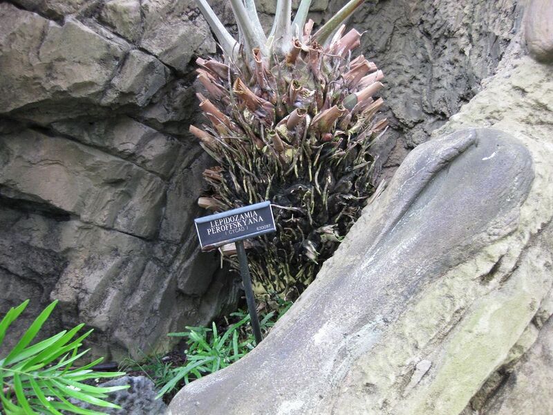 File:1280px-IMG 0910 bbg09.jpg