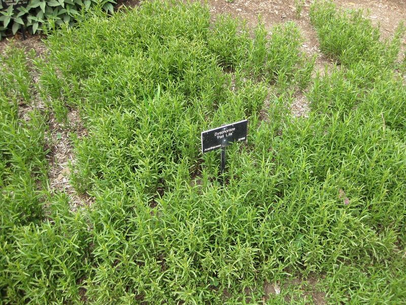 File:1280px-IMG 5075 hunt0904.jpg