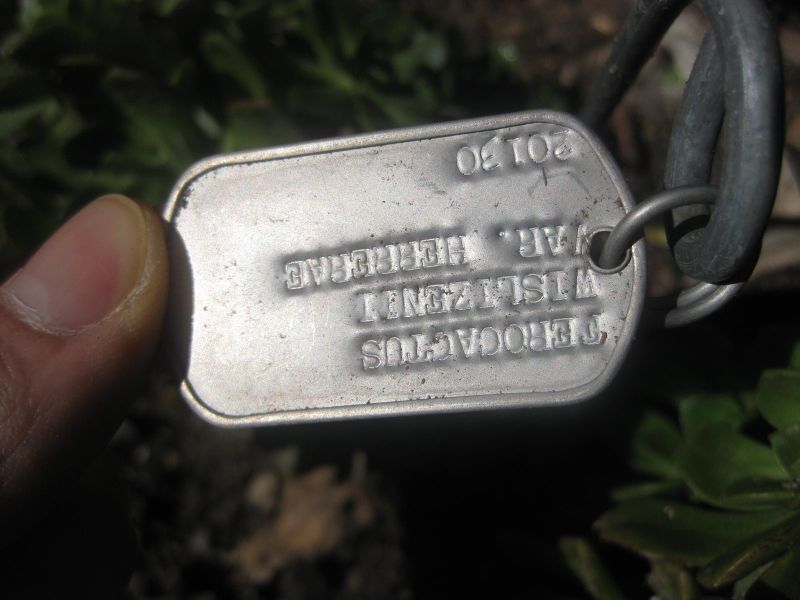 File:IMG 2174 hunt0903.jpg